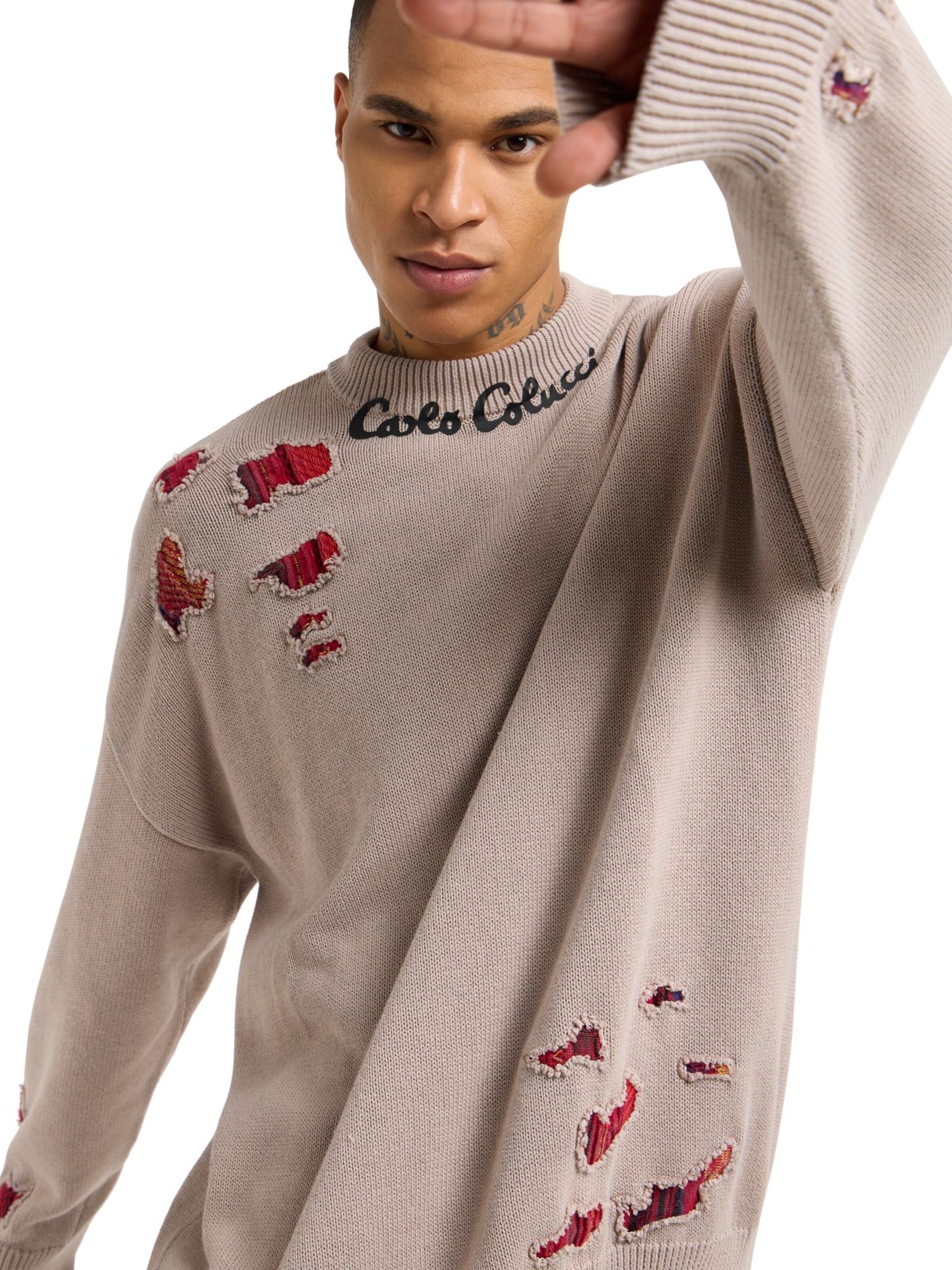 Carlo Colucci Pullover in Beige