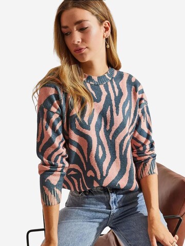 Bianco Lucci Pulover 'Pullover' | mešane barve barva
