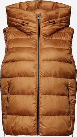 ESPRIT Bodywarmer in Oranje: voorkant