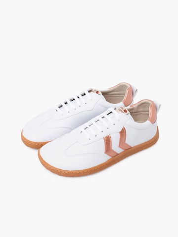 Pisamonas Sneakers in Bruin