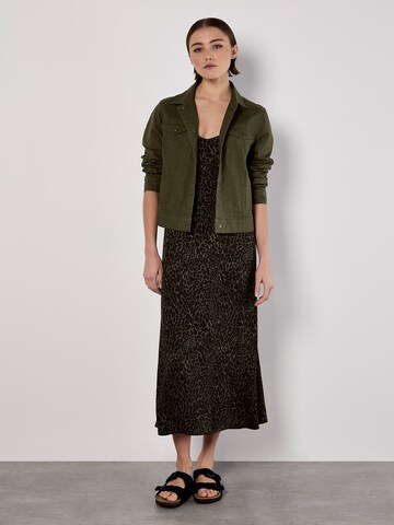 Apricot Dress ' ' in Green