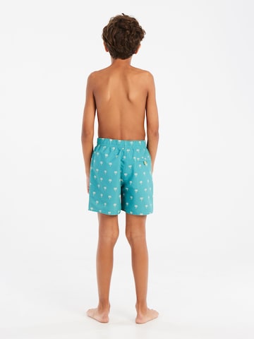 PROTEST Badeshorts 'PRTSteven JR' in Grün