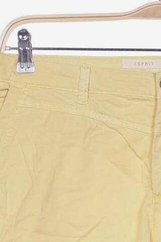 ESPRIT Shorts XL in Gelb