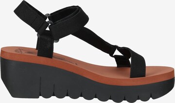 FLY LONDON Sandalen met riem in Zwart