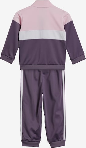 ADIDAS SPORTSWEAR Tracksuit 'Tiberio' in Purple