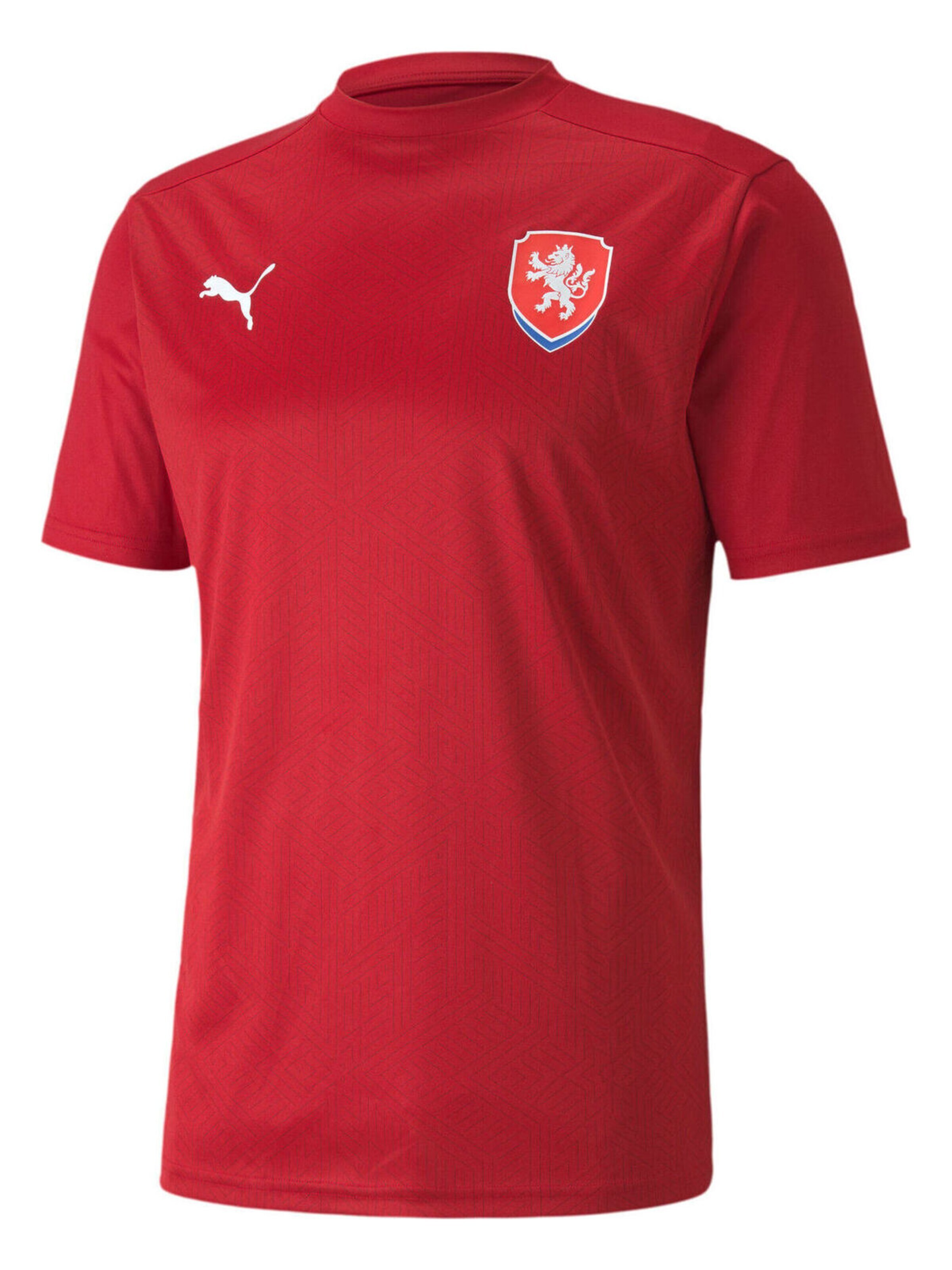 PUMA Shirt‌‌‌‌‌‌ in Rot: Vorderseite