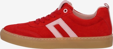 Palado Sneakers 'Vebax' in Red