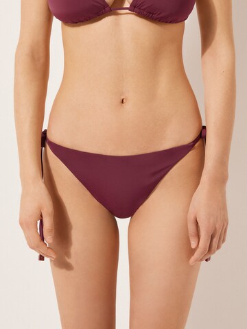 CALZEDONIA Bikinihose 'Indonesia' in Rot: Vorderseite