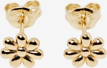 Boucles d'oreilles ESPRIT en or : devant