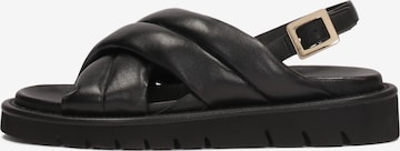 Kazar Strap Sandals in Black: front