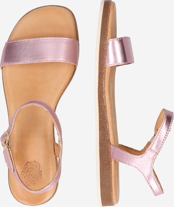 Apple of Eden Sandals 'Isa 16' in Pink