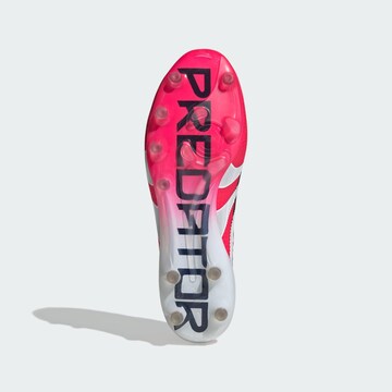 ADIDAS PERFORMANCE Fußballschuh 'Predator Elite Artificial' in Pink