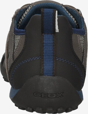 GEOX Sneaker 'Snake' in Braun