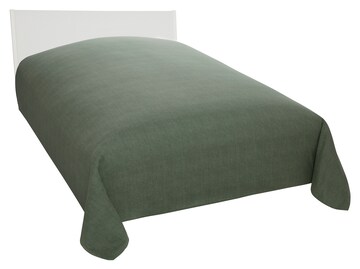 HOME AFFAIRE Blankets in Green