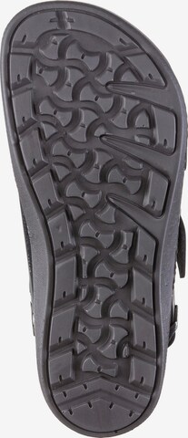 BIRKENSTOCK Sandals 'Milano CT LEOI' in Black