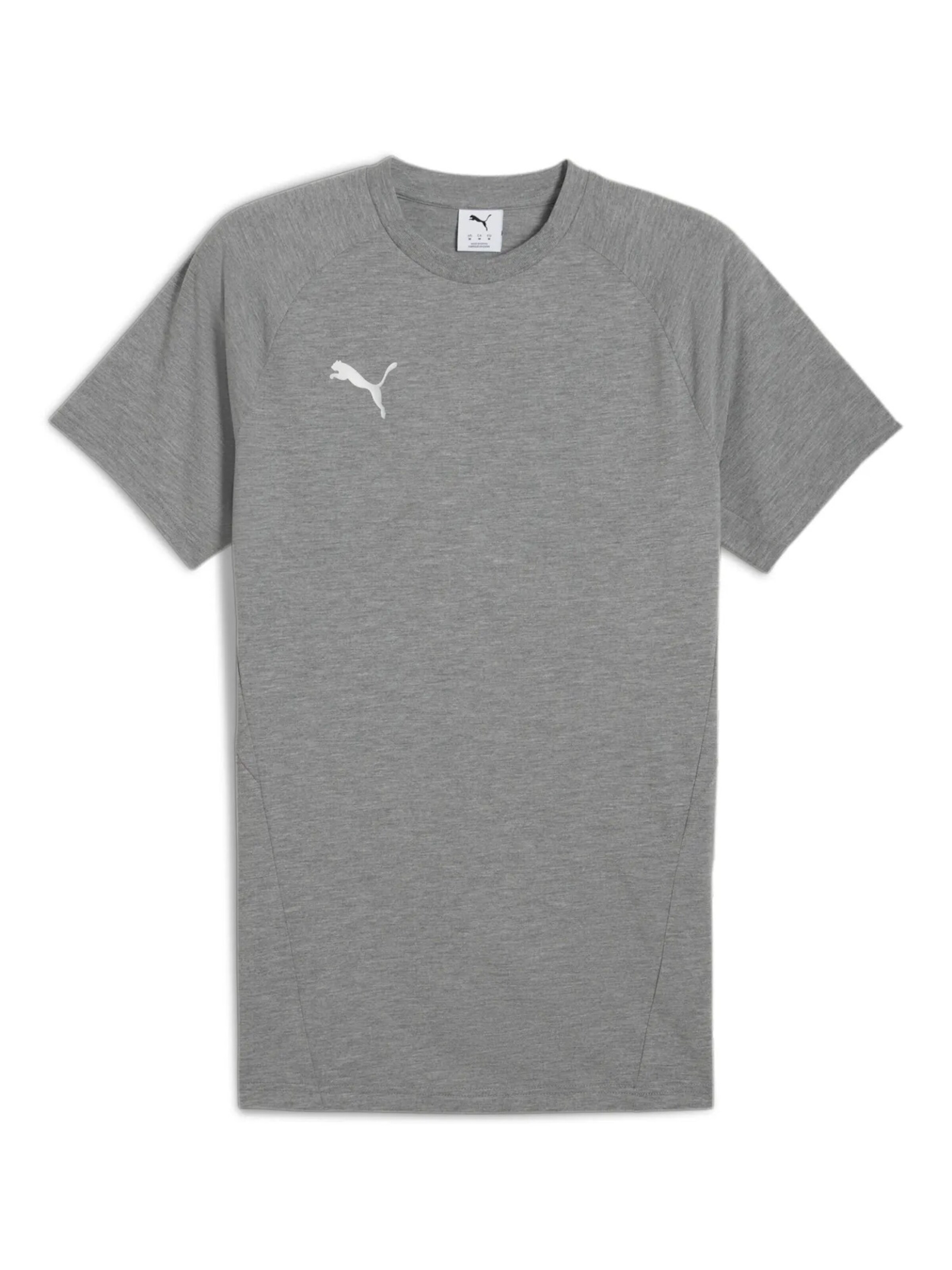 T-Shirt fonctionnel 'TeamEvostripe' PUMA en gris : devant