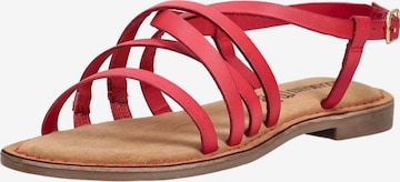 Sandalo con cinturino di LAZAMANI in rosso: frontale