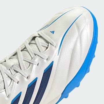 Chaussure de foot 'Copa Pure IV Pro' ADIDAS PERFORMANCE en blanc
