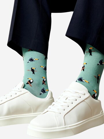 Von Jungfeld Socken 'Tukan' in Blau
