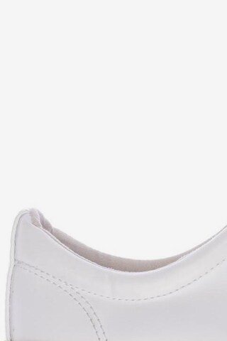 Bershka Sneakers & Trainers in 37 in White