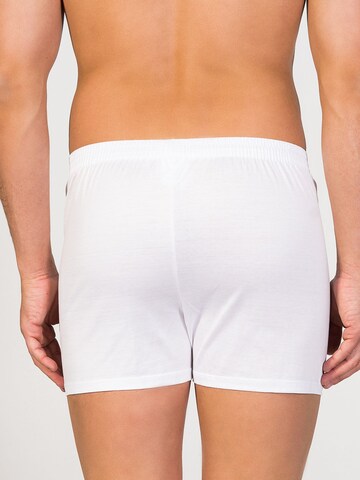 zd ZERO DEFECTS Boxershorts 'Button Boxer Mercerized Cotton' in Weiß