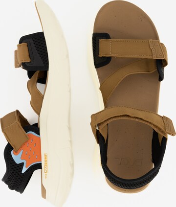 TEVA Hiking Sandals 'Zymic' in Brown