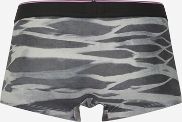 DIESEL Boxer shorts 'DAMIEN' in Grey