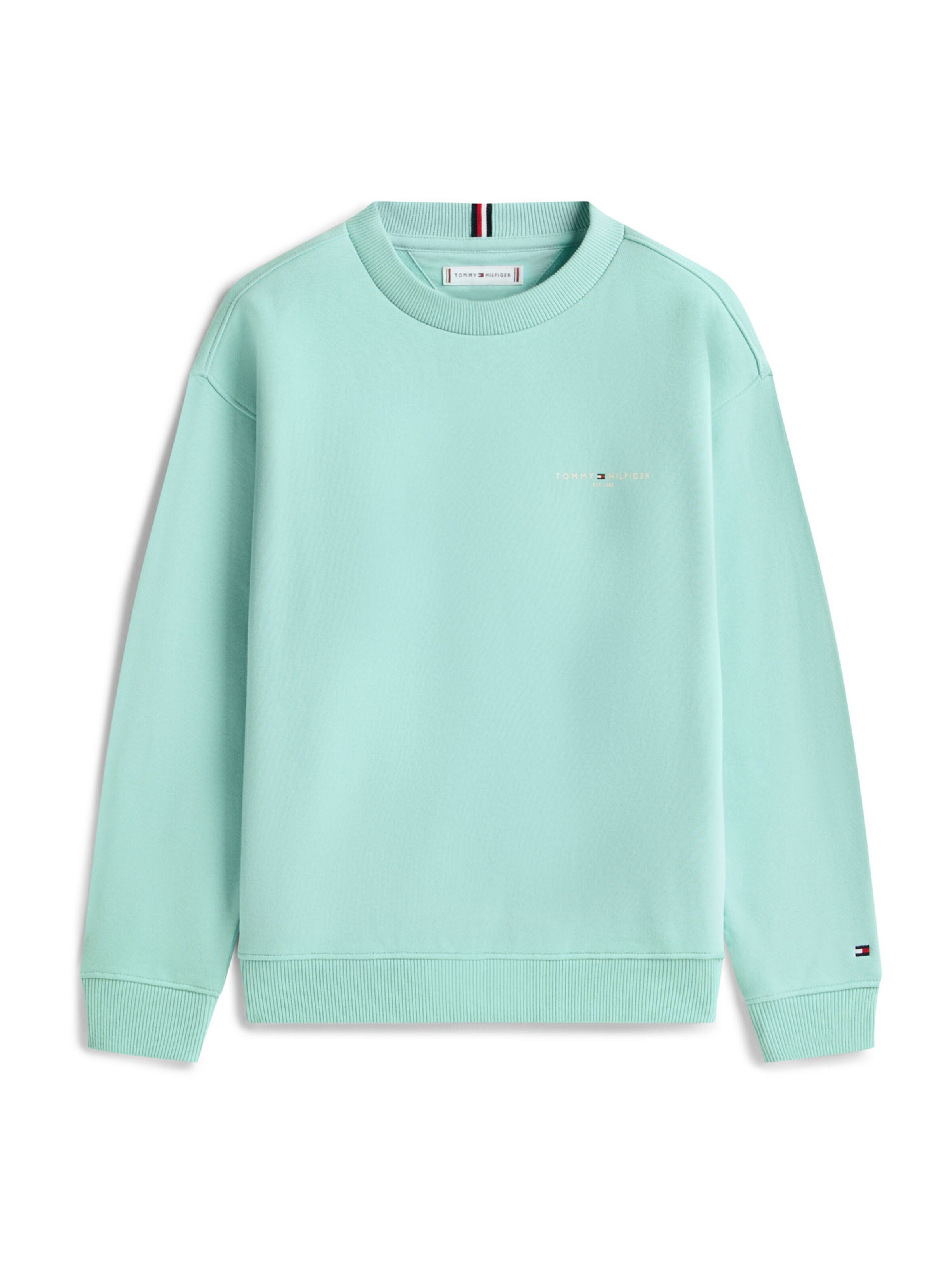 Felpa di TOMMY HILFIGER in blu: frontale