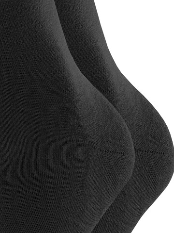 FALKE Socks 'Softmerino 2-Pack' in Grey