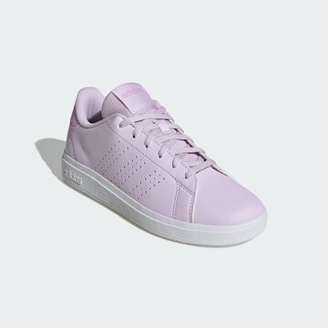 ADIDAS SPORTSWEAR Sneaker 'Advantage Base 2.0' in Lila