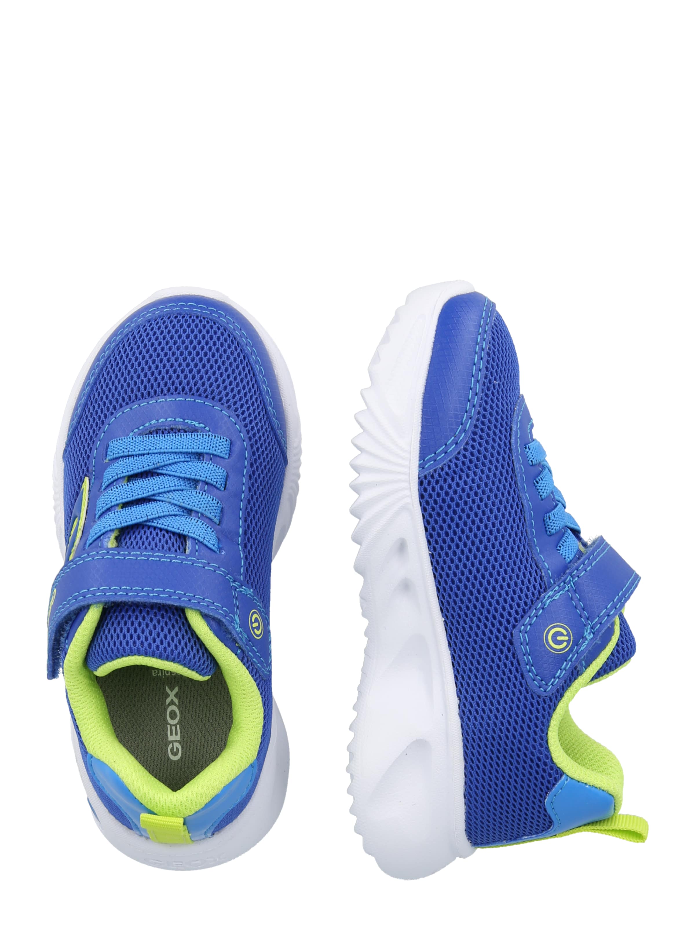 GEOX Sneaker 'ASSISTER' in Blau