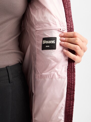 Blauer.USA Winterjas in Rood