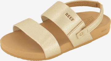 REEF Sandale 'Cushion Vista' in Beige: Vorderseite
