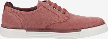 Pius Gabor Sneakers in Pink