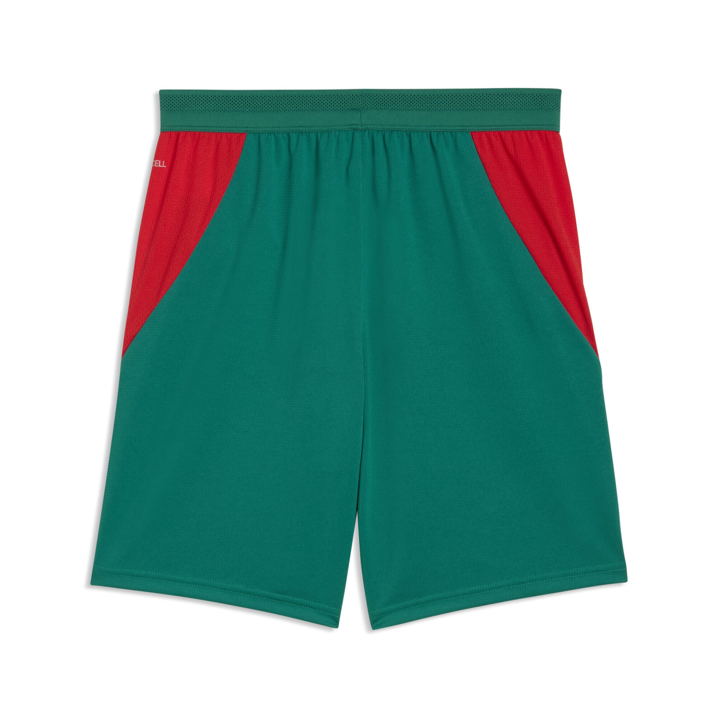 PUMA Regular Sports trousers 'Senegal' in Green