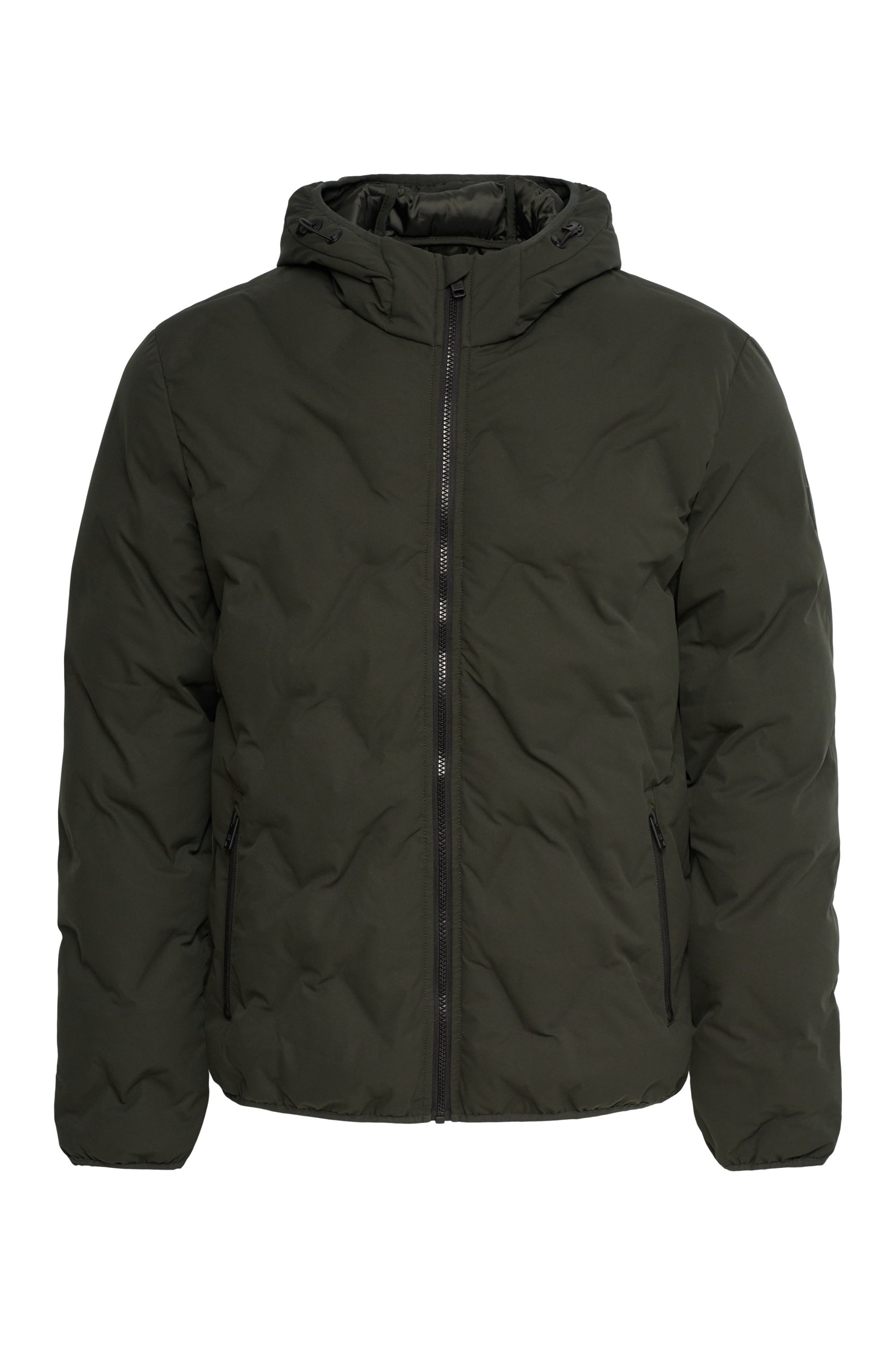Salsa Jeans Winterjas in Groen