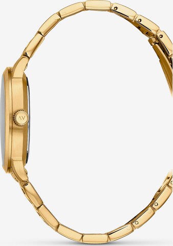 FAVS Analog Watch in Gold