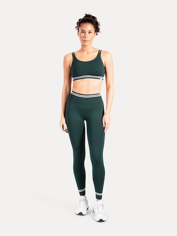 Smilodox Tapered Leggings in Groen