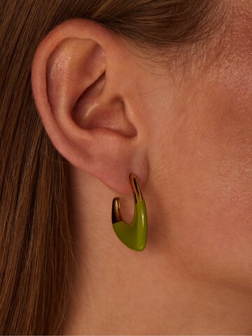 Lucardi Earrings in Gold: front