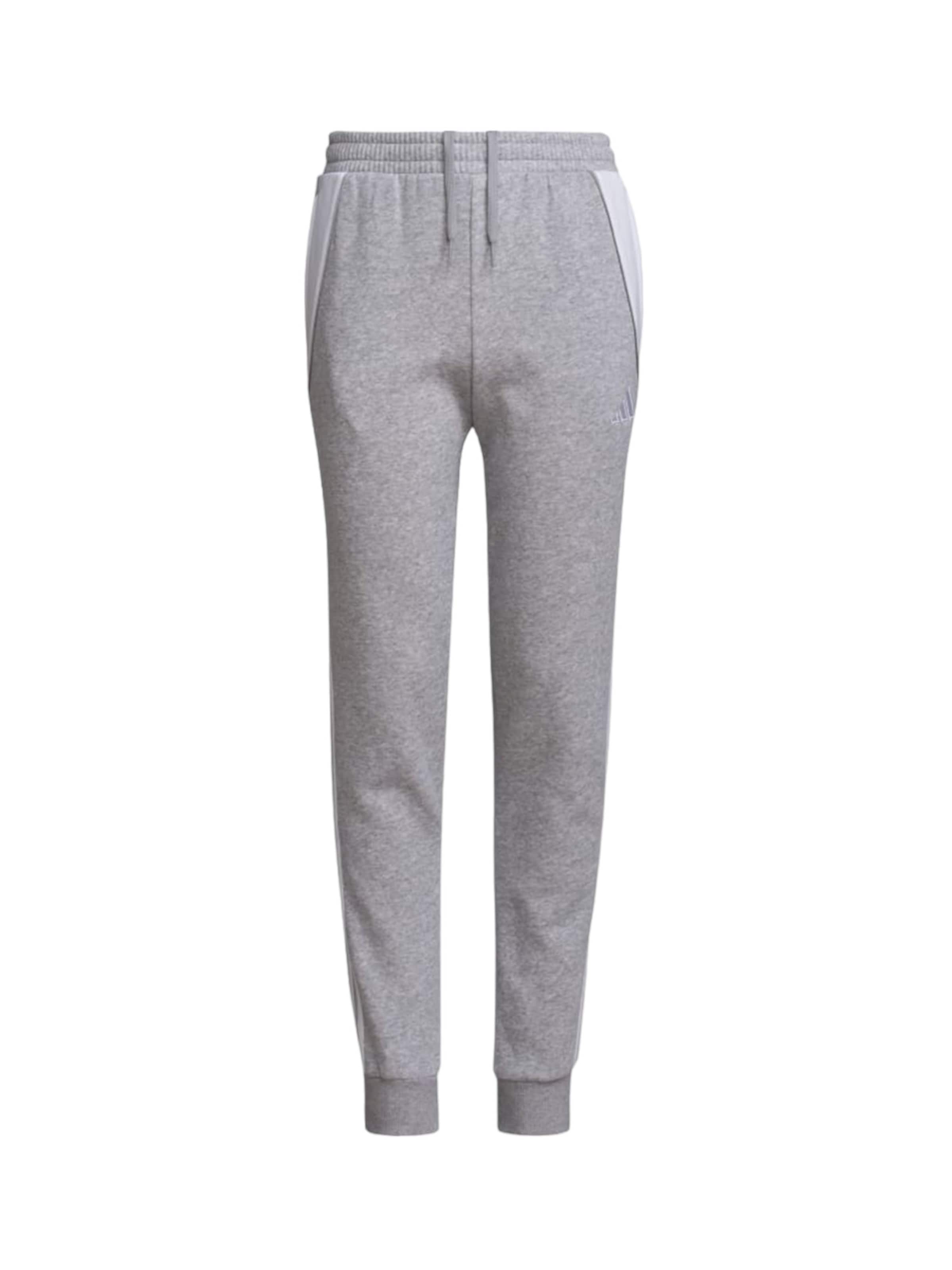 ADIDAS PERFORMANCE Tapered Sporthose 'Tiro 24' in Grau: Vorderseite