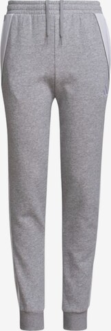 ADIDAS PERFORMANCE Tapered Workout Pants 'Tiro 24' in Grey: front