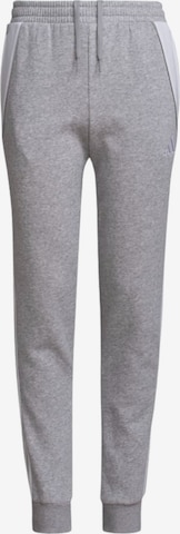 ADIDAS PERFORMANCE Workout Pants 'Tiro 24' in Grey: front