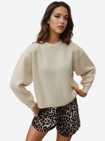 Hiccup Pullover in Beige: Vorderseite