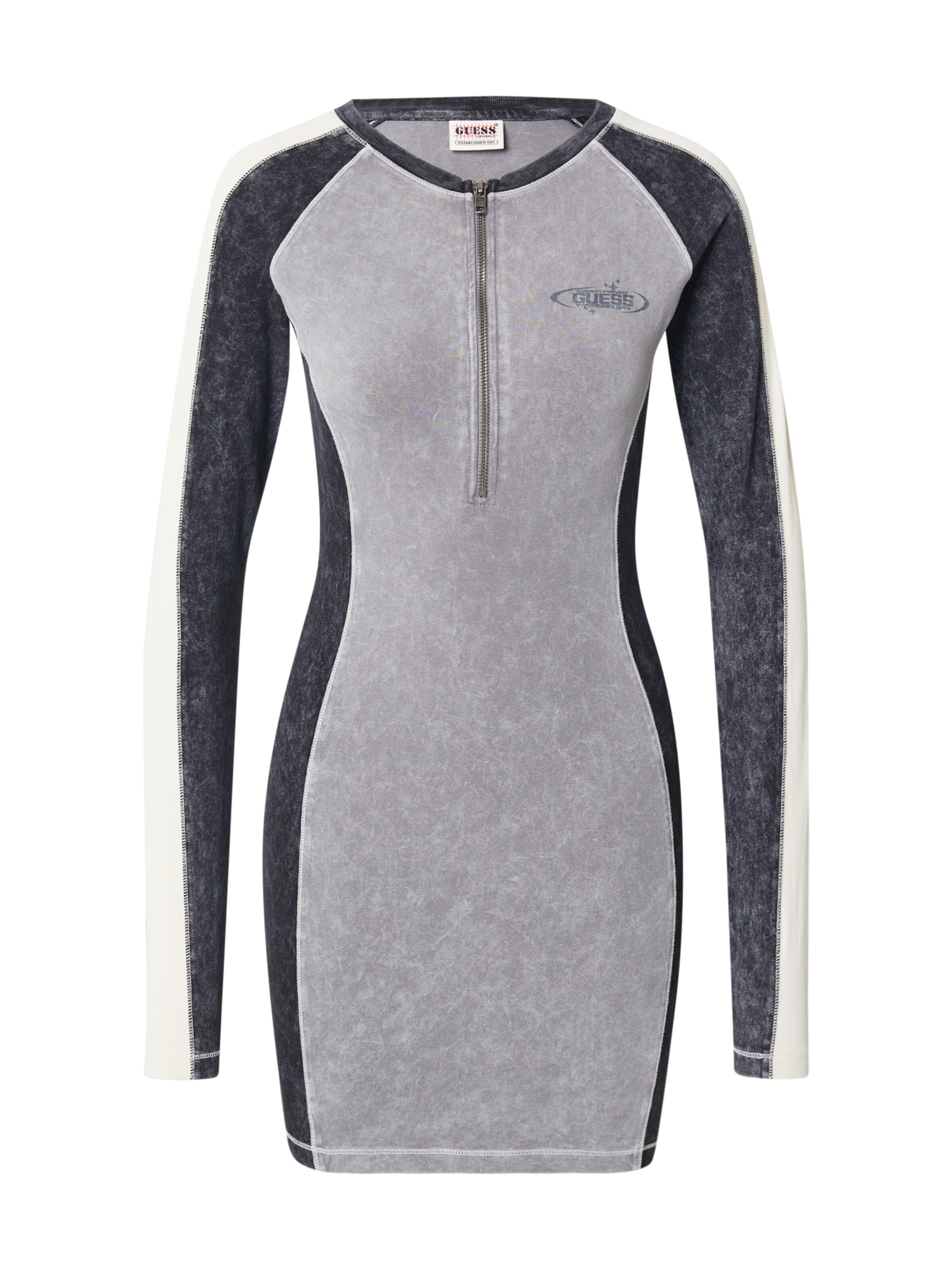 GUESS Originals Dress 'GO' in Grey: front