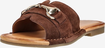 Zoccoletto di ARA in marrone: frontale