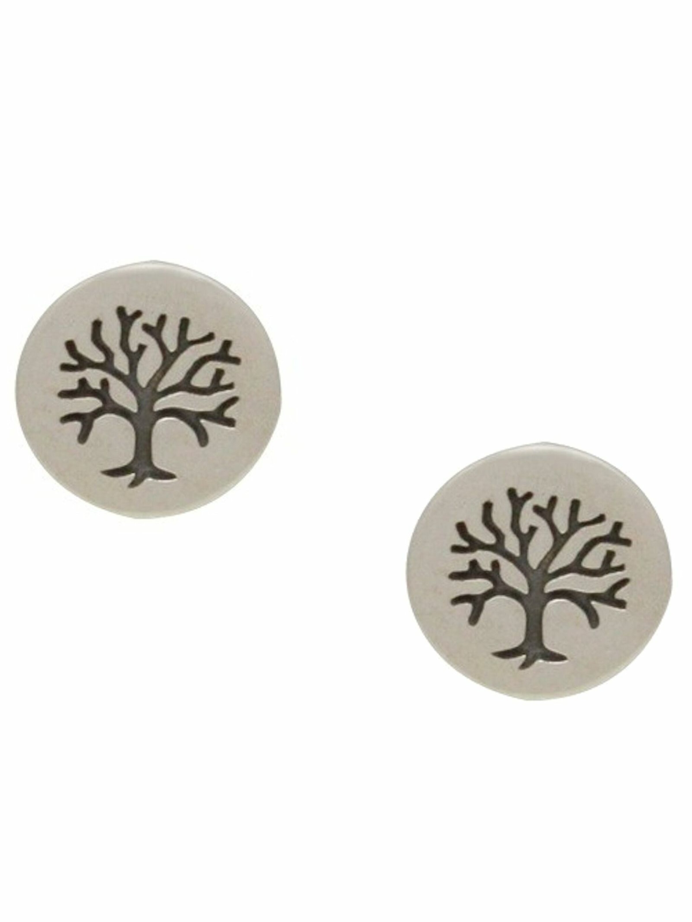 Gemshine Earrings in Silver