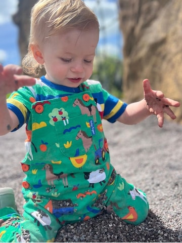 Toby Tiger Regular Overalls in Green