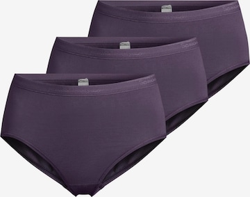 SPEIDEL Panty 'Everyday' in Purple: front