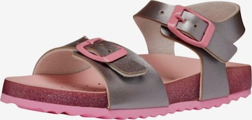 Sandalo di GEOX in argento: frontale
