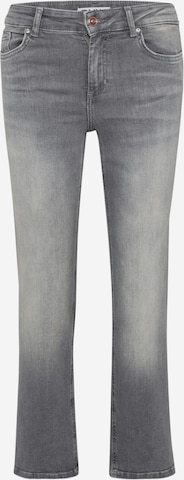 Only Petite Regular Farkut 'ONLBLUSH' värissä harmaa: etupuoli